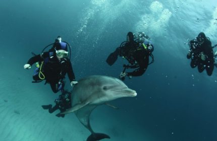 Погружение