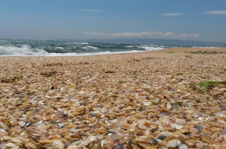 Золотой и Яшмовый пляжи